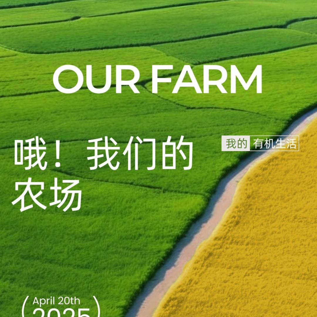 哦！我们的农场Our farm