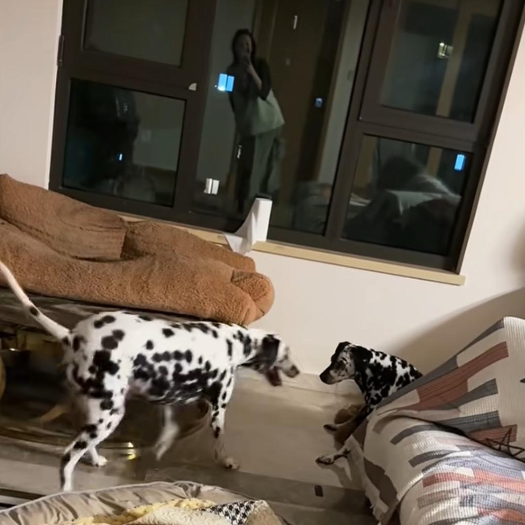 猫兜小开
