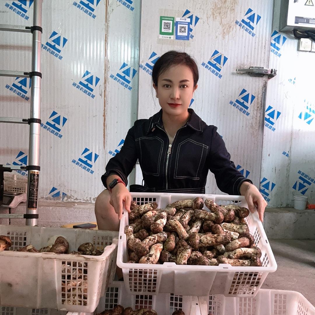 云南十三精品优选