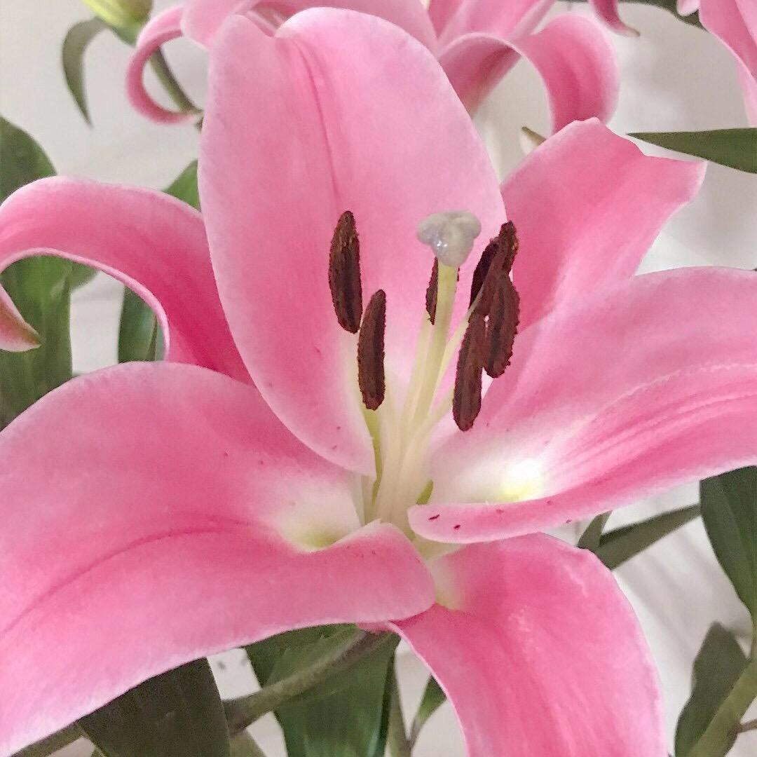 许多年以后💘