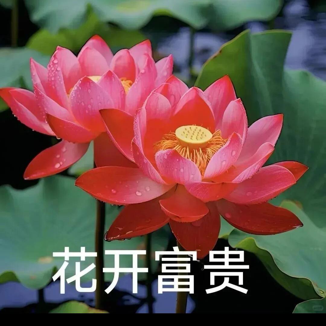 他们都说，我很帅