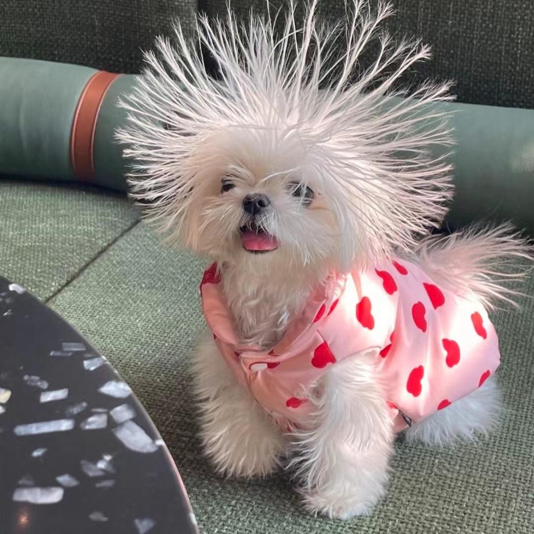 过上了好日子红红火火