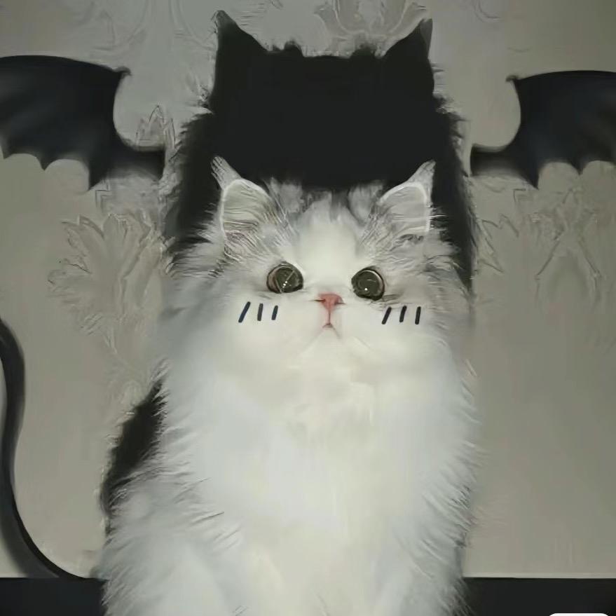 柚子 （求推荐❤️）