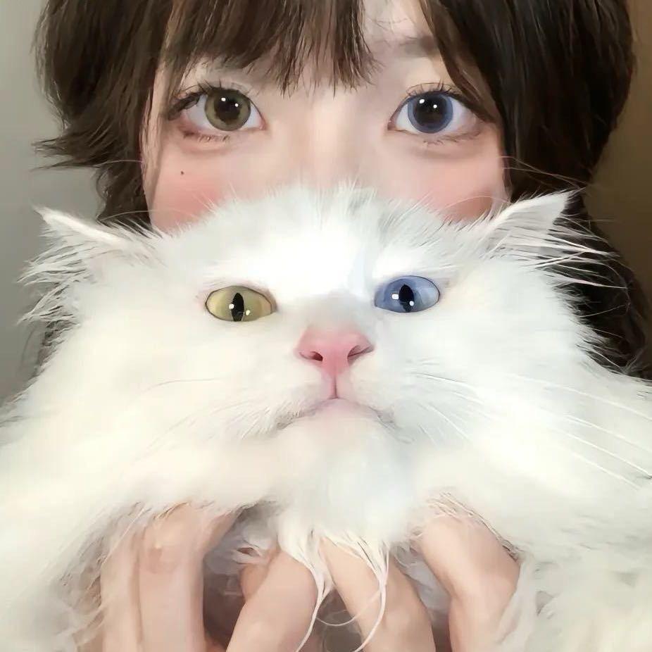 芝士塔🐟