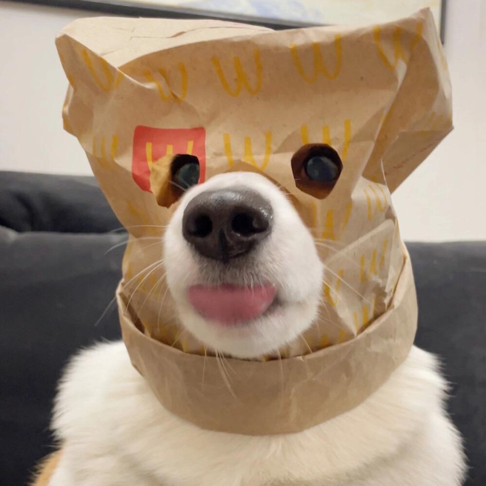 英语基础30秒
