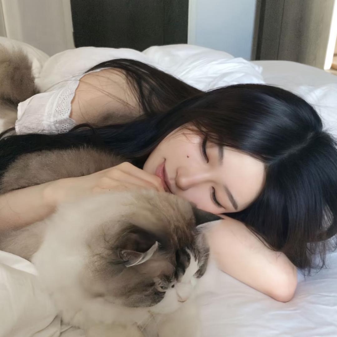 蛋挞猫
