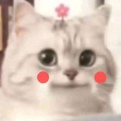 上号坐牢！