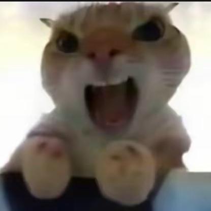 眯眯