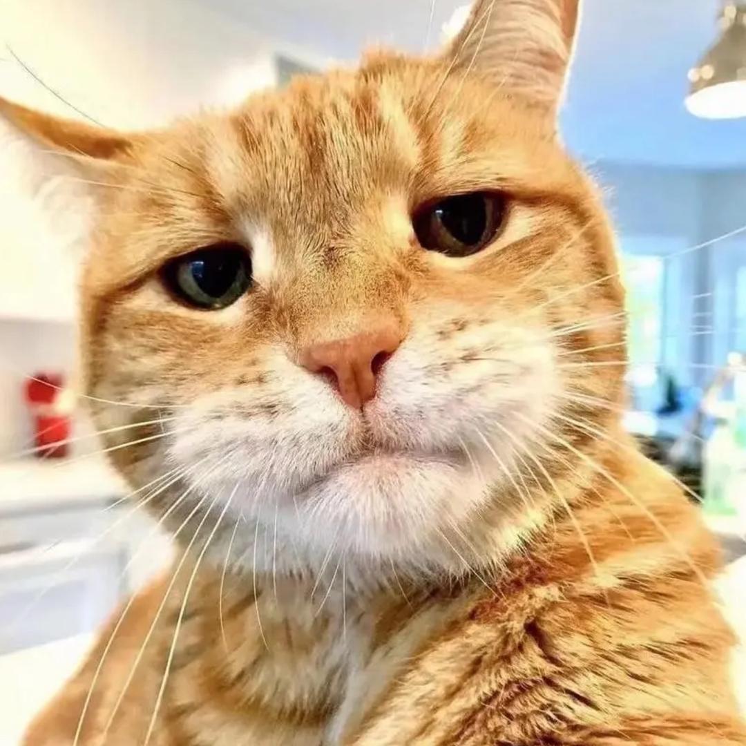 文山市智创通讯店（整得成）