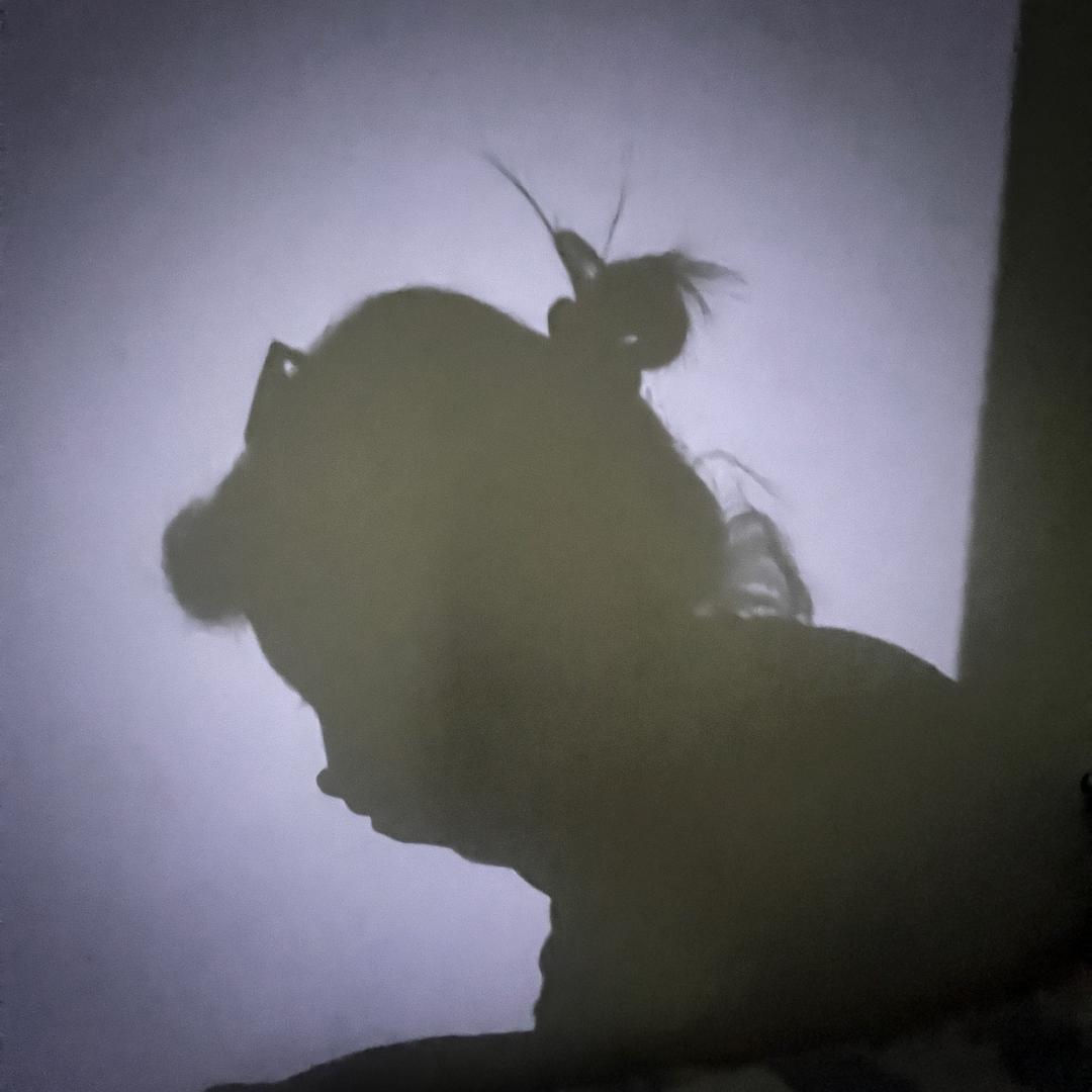 👣🧜‍♀️🧚