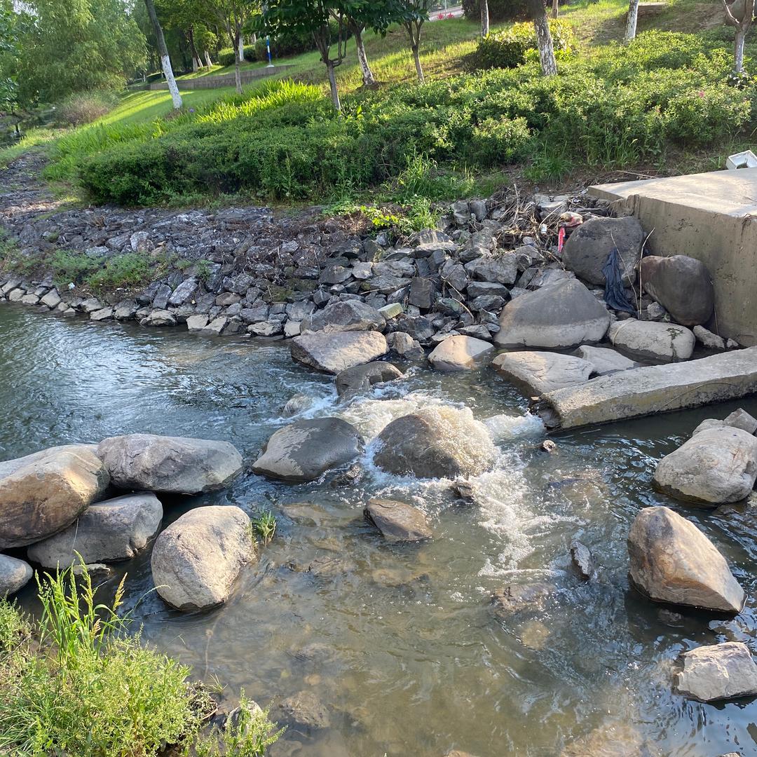 诚实