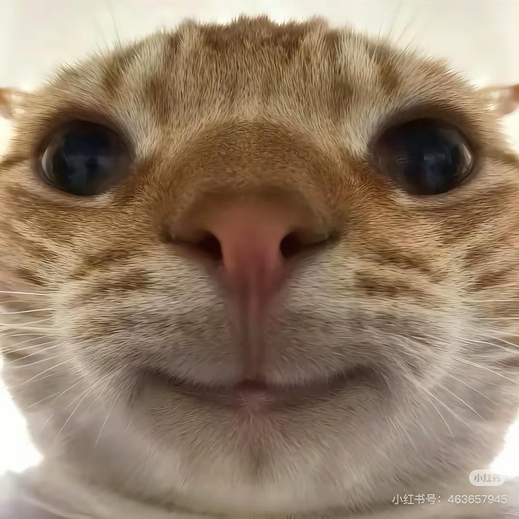 吃一口