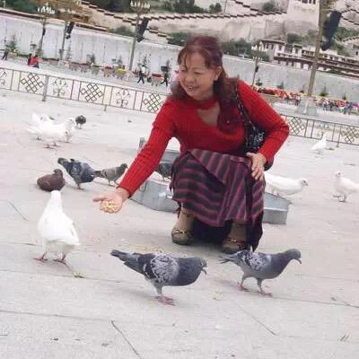 依旧阳光