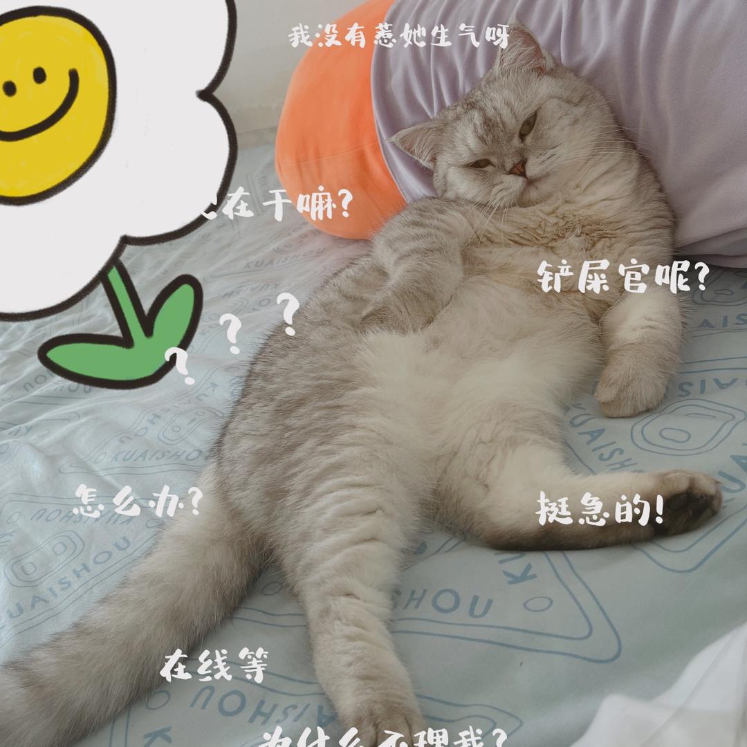 爱吃的脑门儿