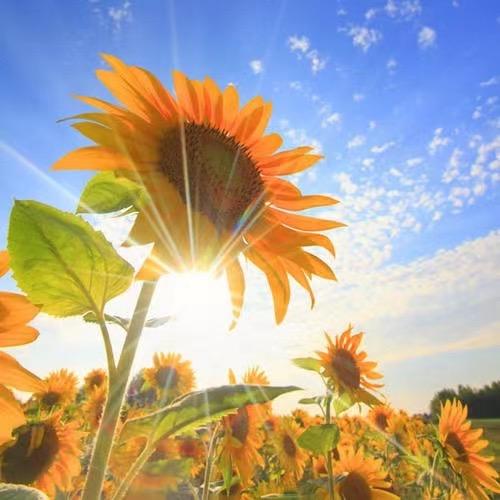 左右美味幸福小栈