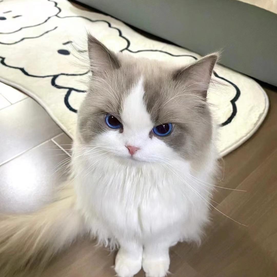 冬天