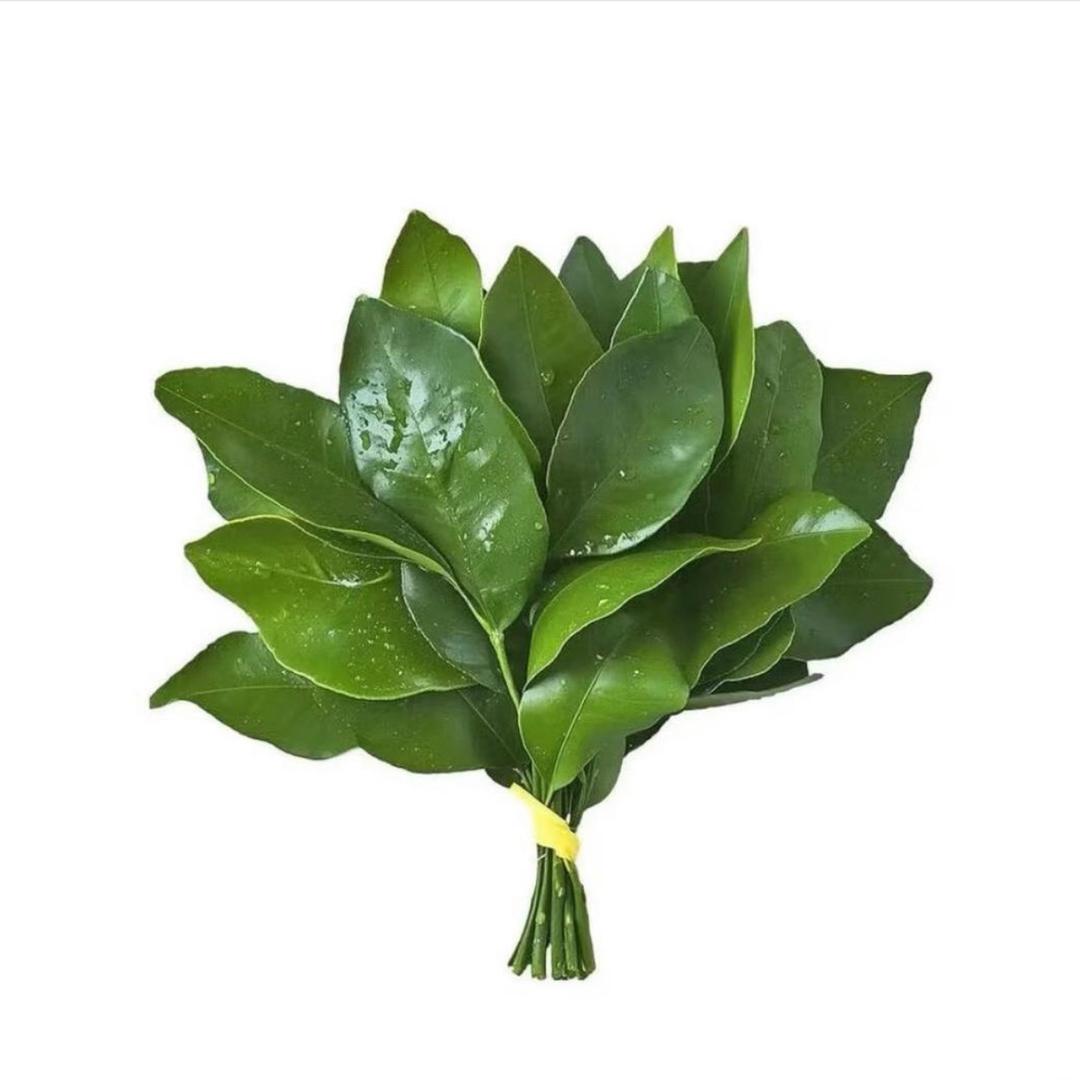 羊小羊