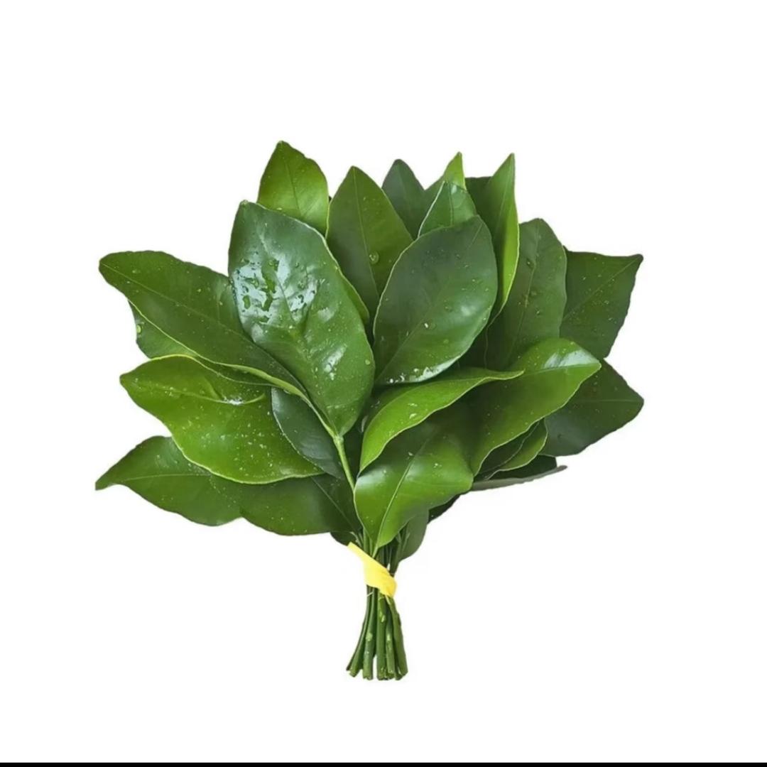 小p爱梨