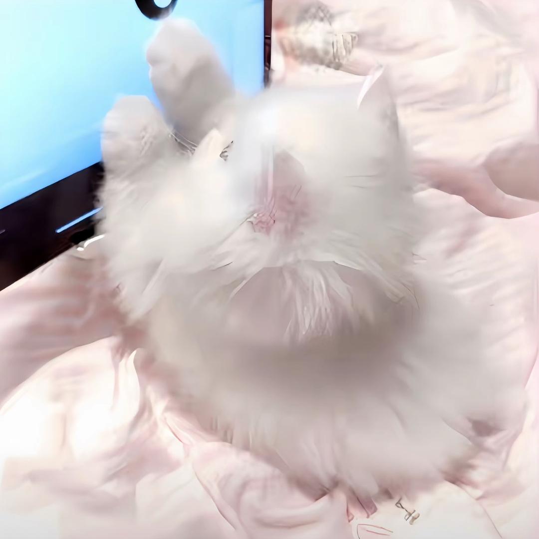 余鱼