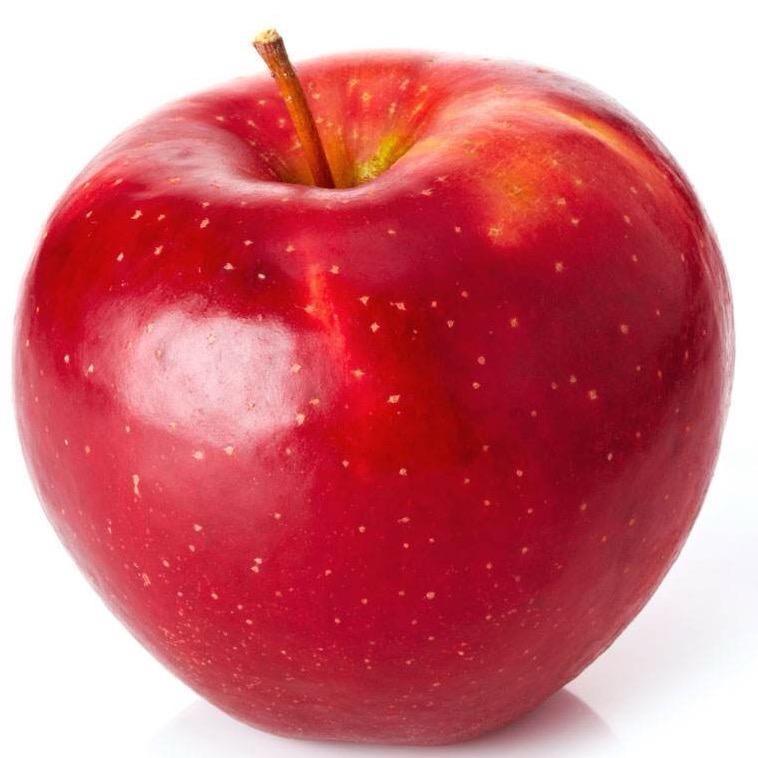 💞๓᭄余生ᝰᩚ随心ꦿ໌ 💖