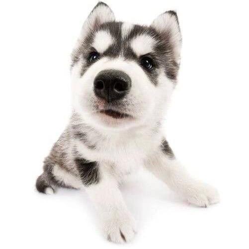 毛线团子的手作坊