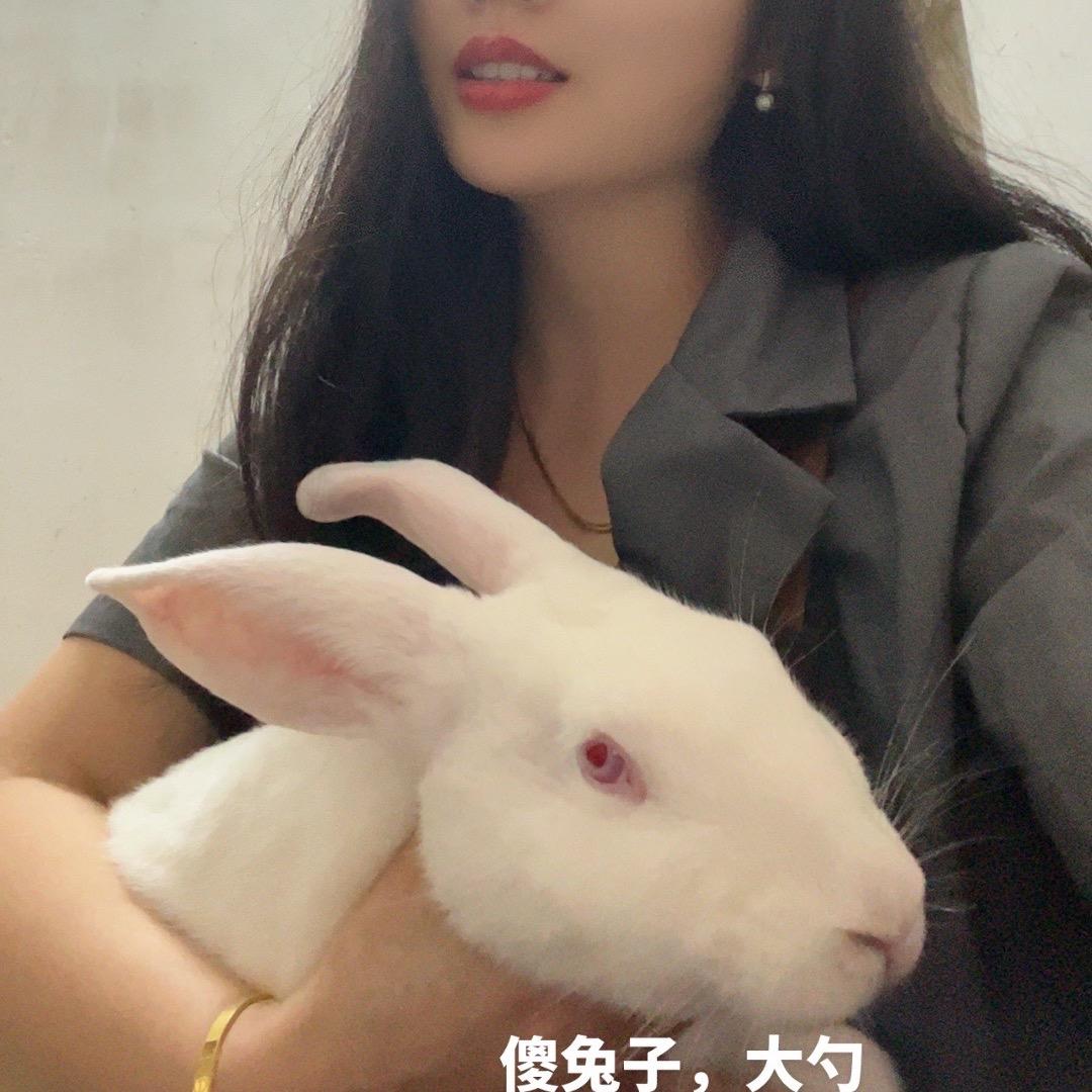 俏佳人