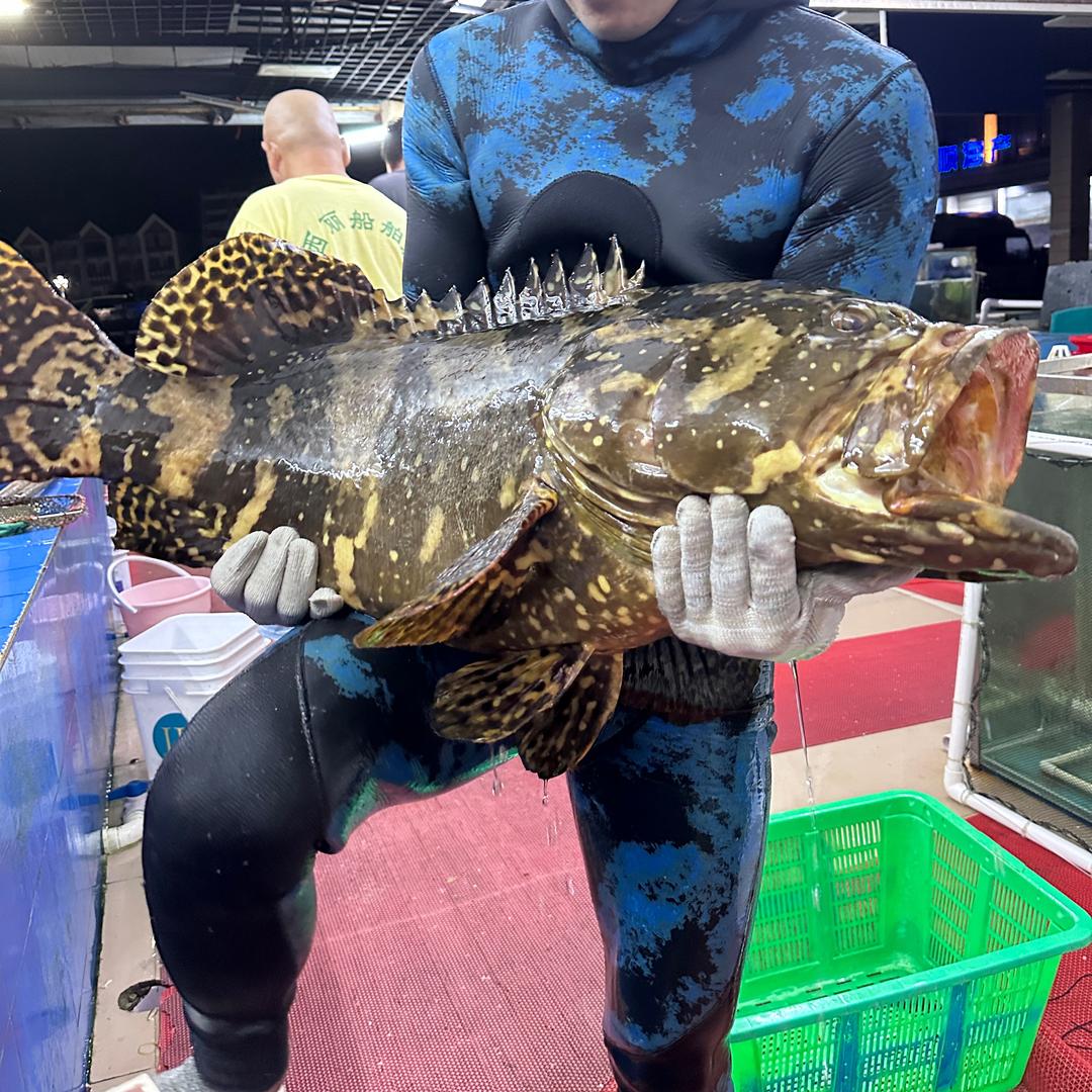 上班摸鱼（带徒教学）