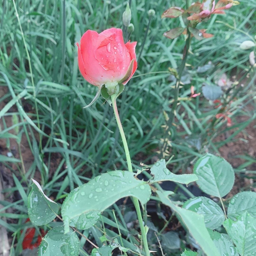 曾经的经典