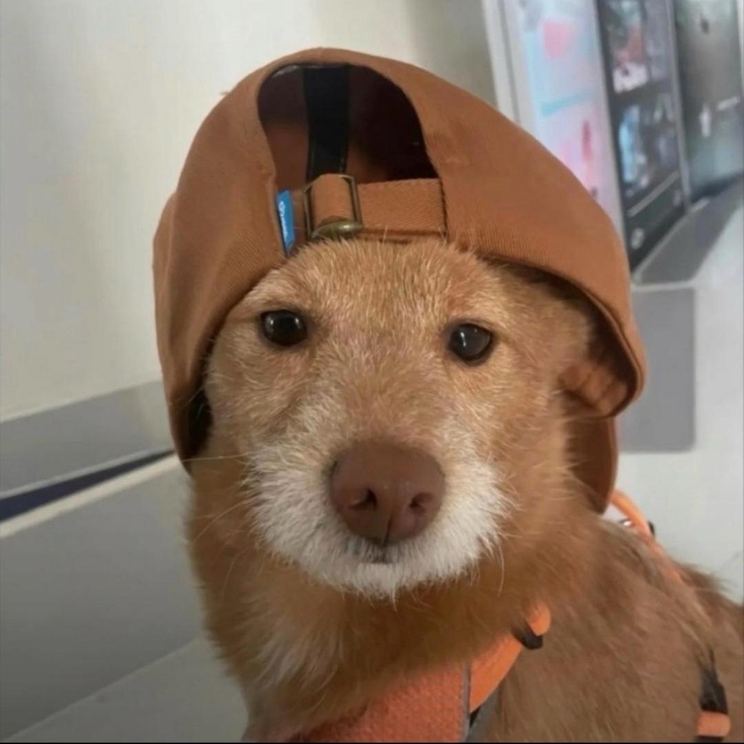 Darren（抽象健身）