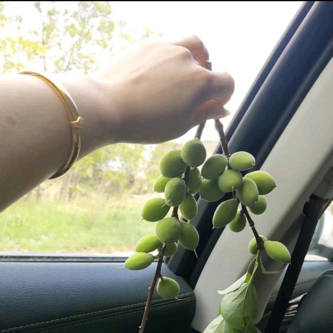 ゞ秭ㄖㄅ伈丶僸蕋訪問ヽ。