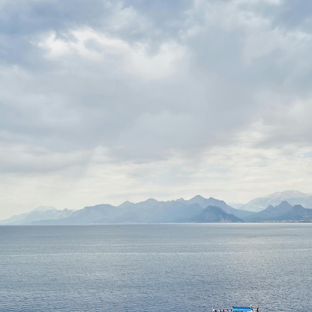 今晚吃鸡