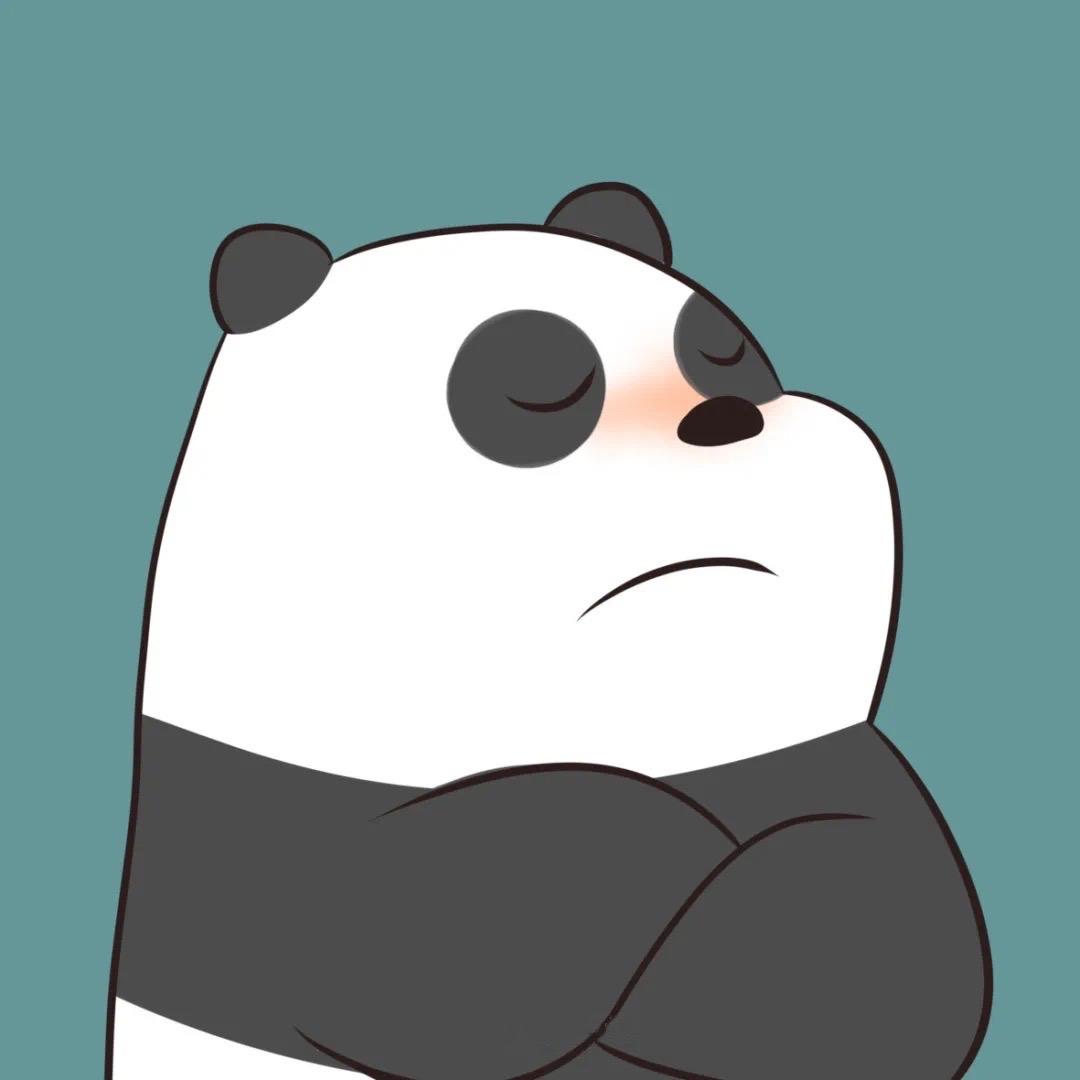 小熊猫