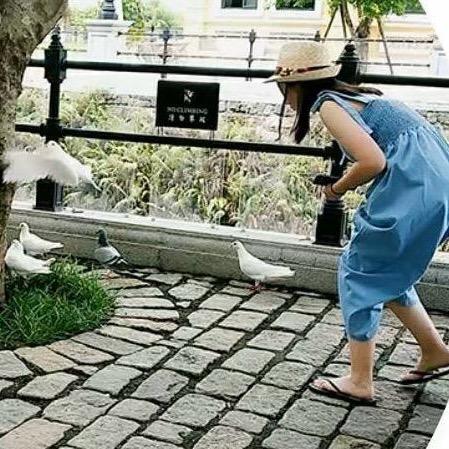汀水依依