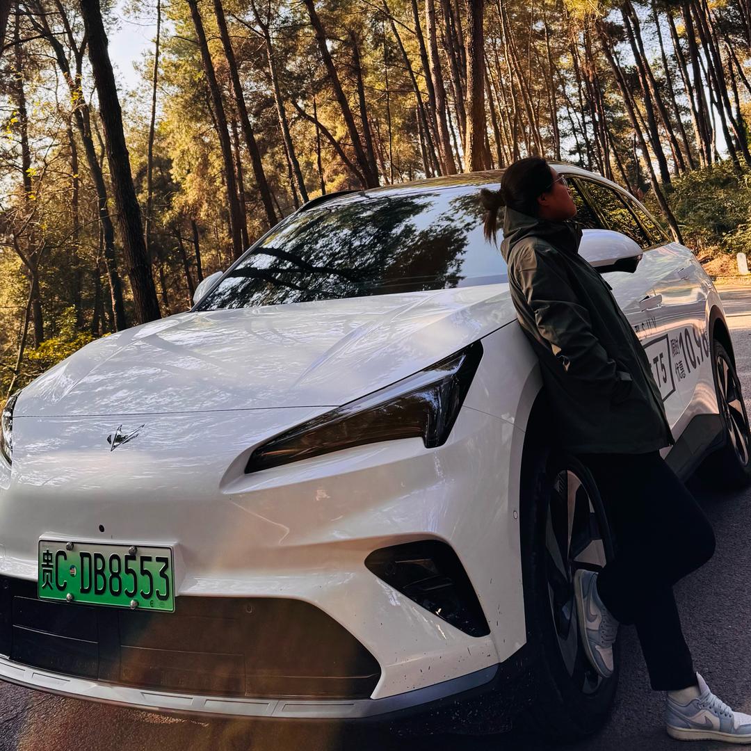 财神爷儿子爱上卖极狐车的我