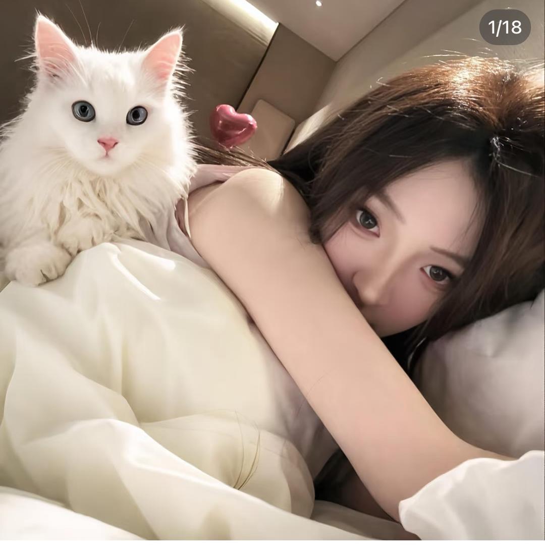 绵绵锦🐰