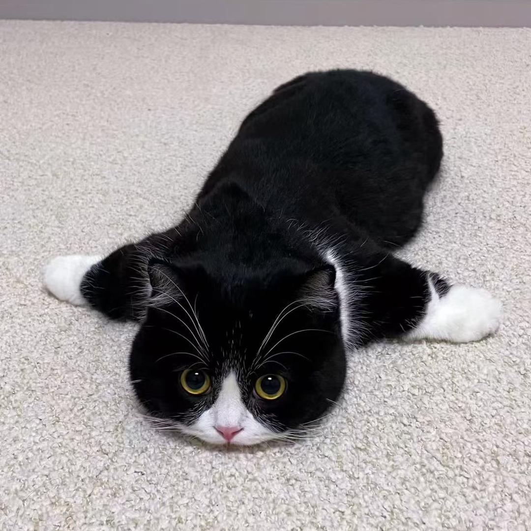 阿珍家烧烤（柳州三胞广场）