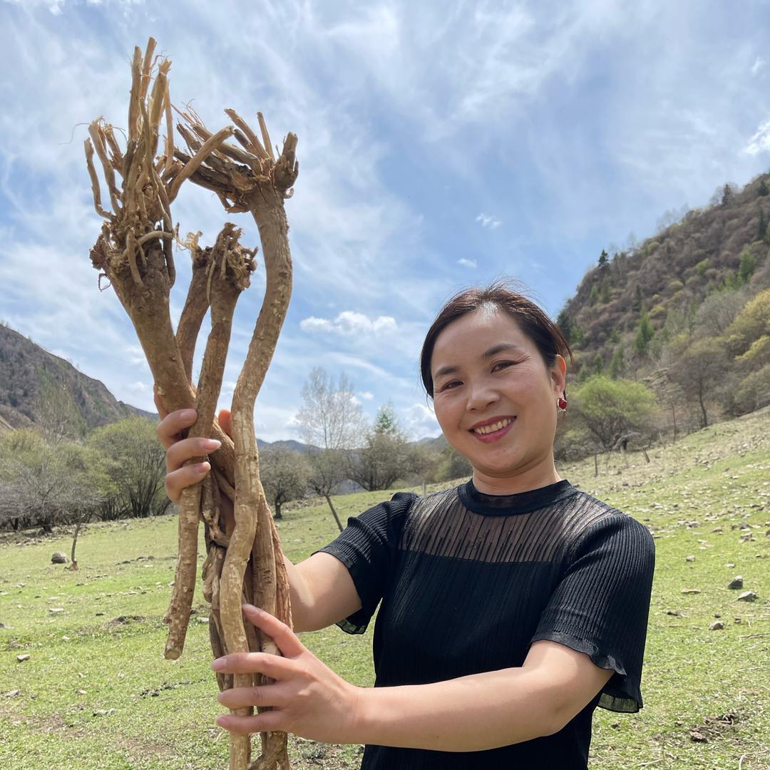 岷县黄芪小诺滋补店