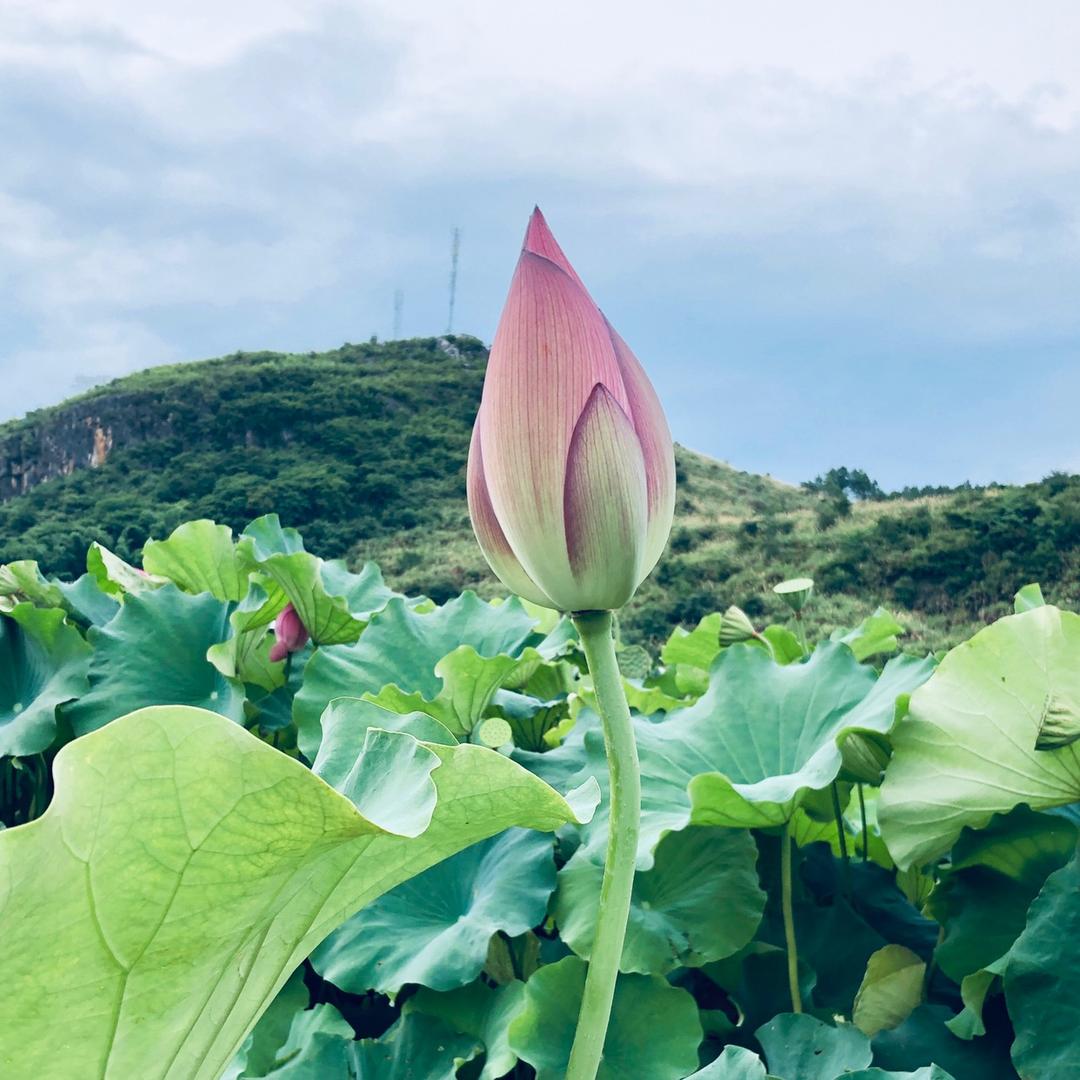 小五
