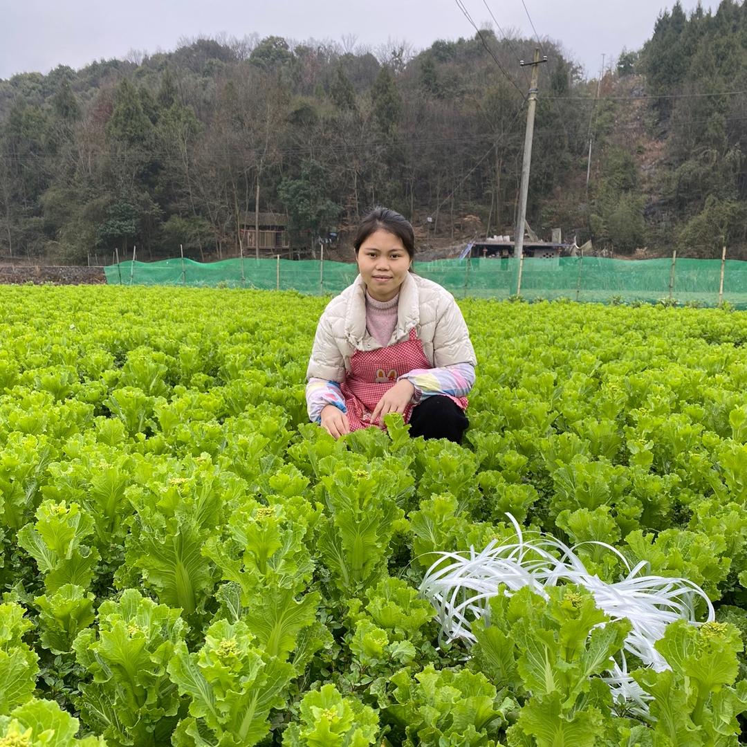 贵州静静农家菜