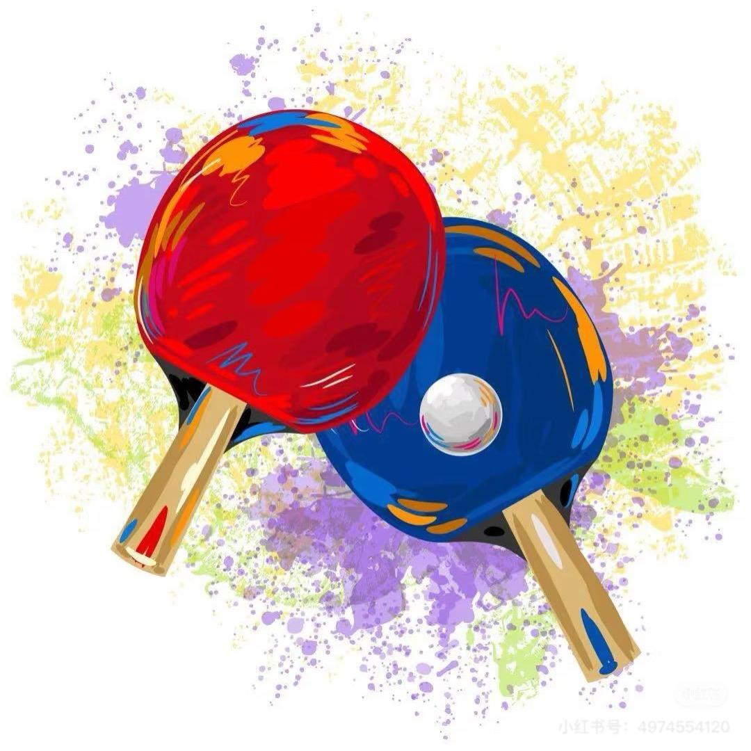 乒乓之路🏓