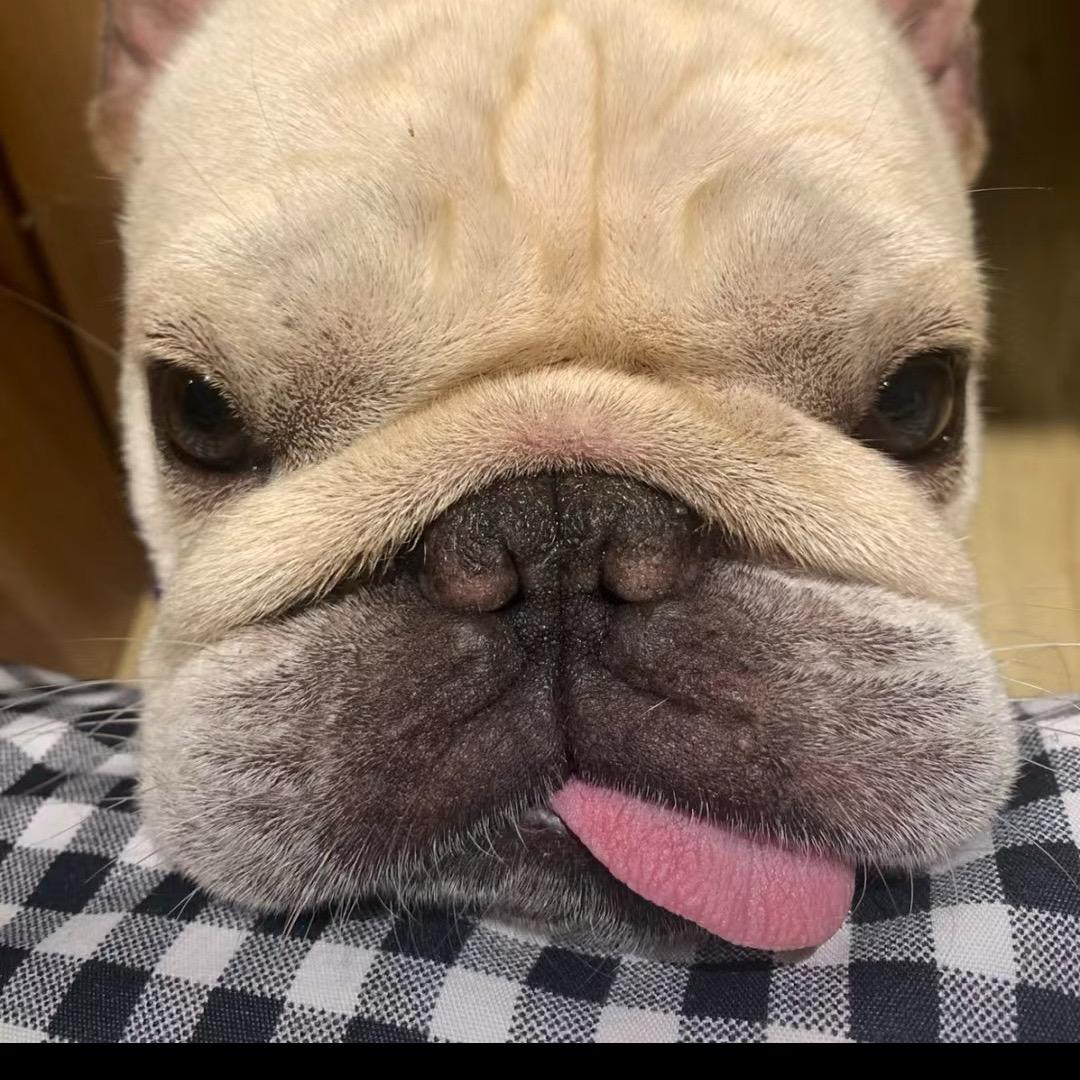 我不是郯城陈冠希