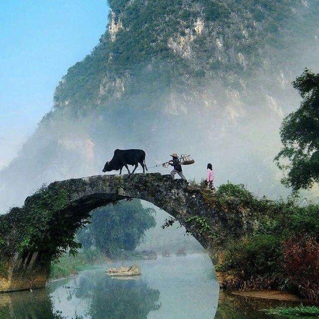 泪伤   追忆