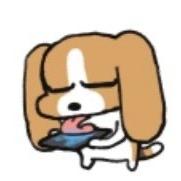阿招