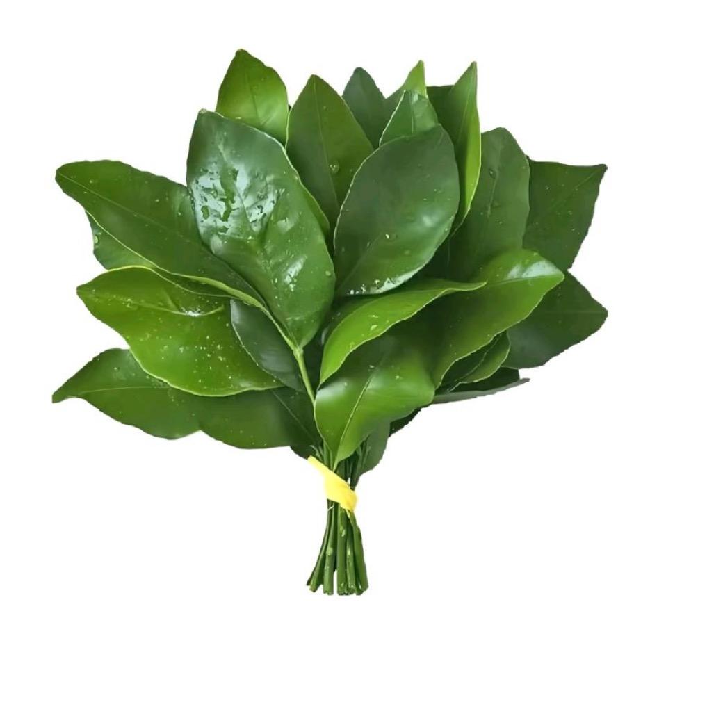 元元