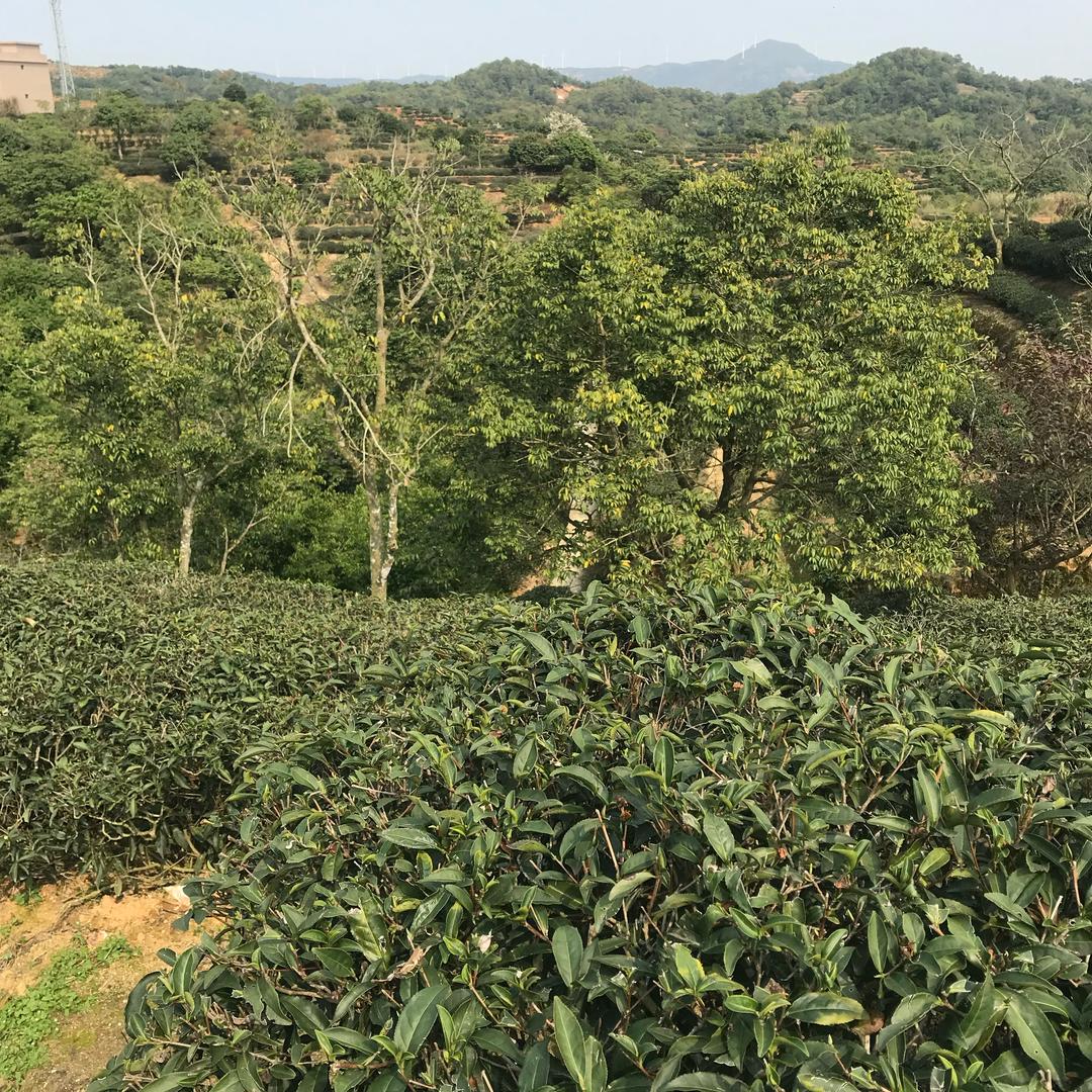 东莞灿發科技有限公司