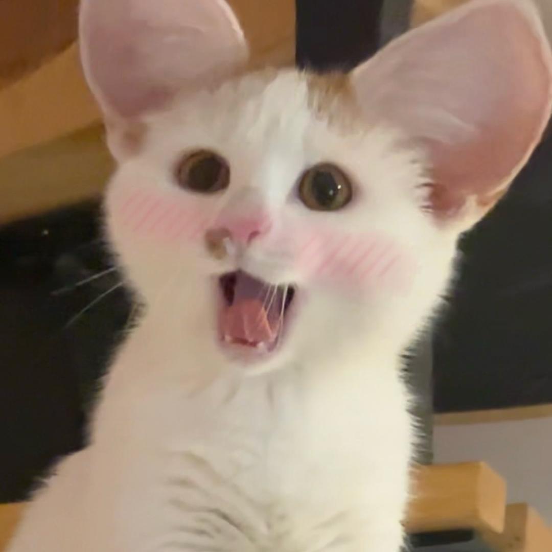 抱抱