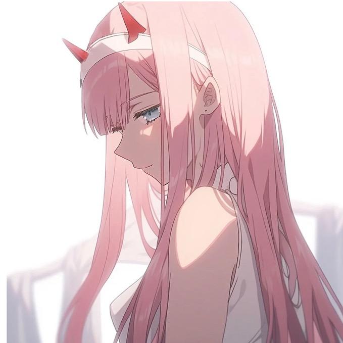 喵公主爱飞