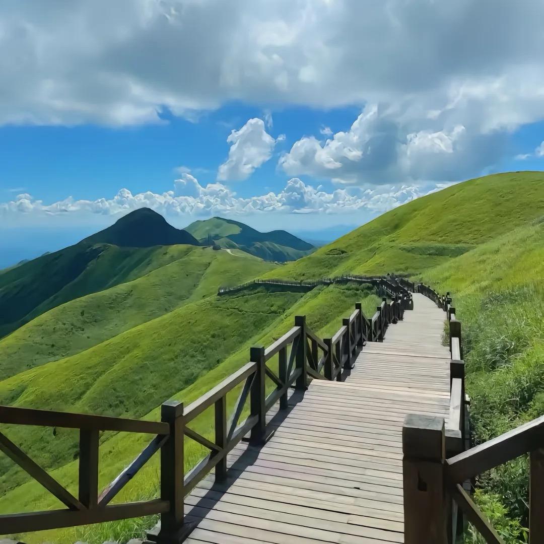 青梧集