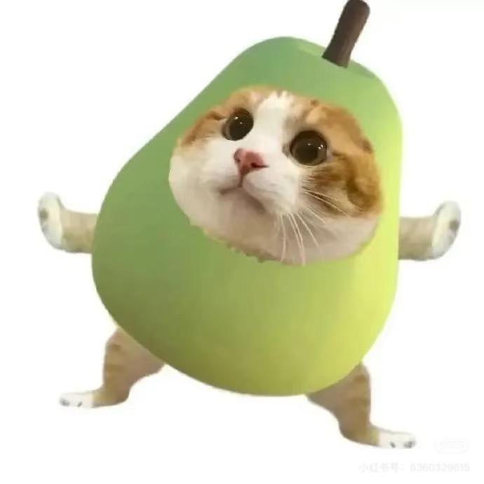 胖头鱼