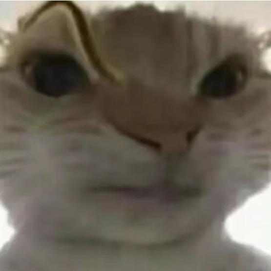 桂林钓鱼经常打龟的男银